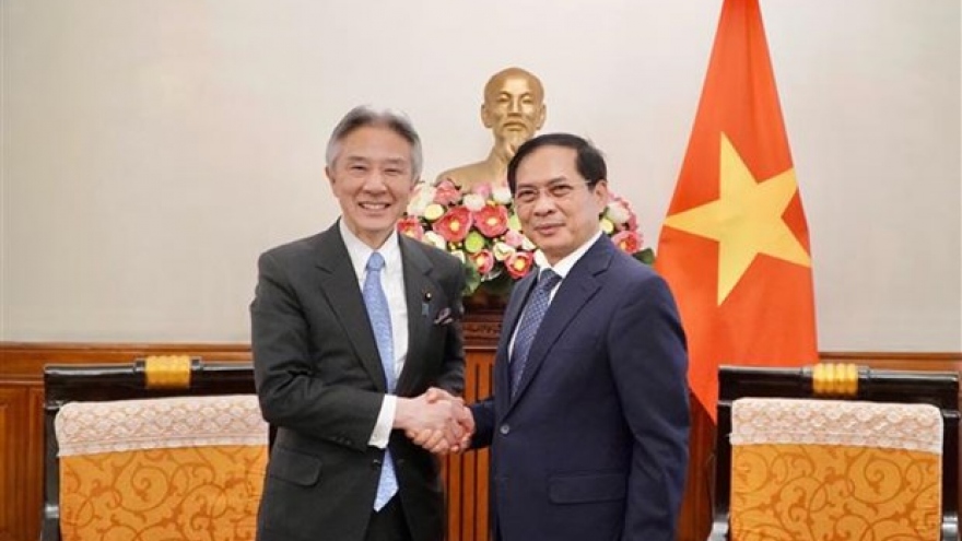 Vietnam, Japan eye stronger links in culture, education, science, and technology